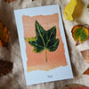 "Leaf cards" 60 Identification Flash Cards & Memory Game